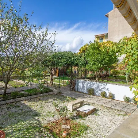 Kiwi E L'uva By Interhome Apartment *